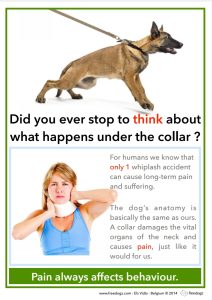 Why Harnesses? 1 Collar