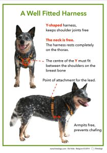 Why Harnesses? 21 Harness